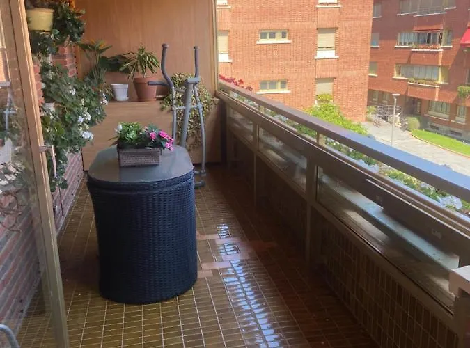 Apartment Aguilafuente Zarautz